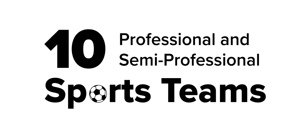 10 Professional and Semi-Professional Sports Teams (ie: NFL Broncos, MBA Denver Nuggets, NHL Avalanches, and more)