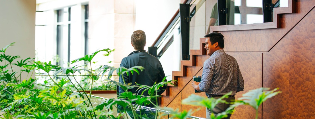 Tech employees walk up the stairs together at beautiful Denver, Colorado corporate office